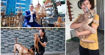 Bộ sưu tập thú cưng đắt đỏ của đại gia Việt