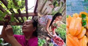 Nhà ở quê ngập cây trái của bố mẹ các sao Việt 