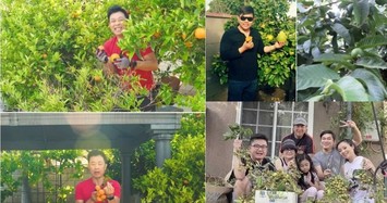Những sao Việt sở hữu vườn cây trái trĩu quả trên đất Mỹ