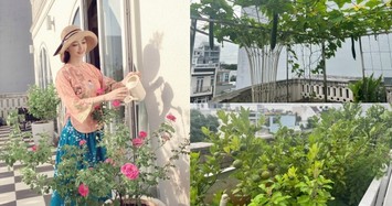 Hoa hậu Giáng My khoe khu vườn ngập hoa trái trong nhà