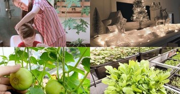 Đi xem ngôi nhà vườn nhiều rau trái của người đẹp Elly Trần