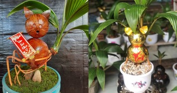Lạ mắt với bonsai dừa đón Tết Quý Mão 2023