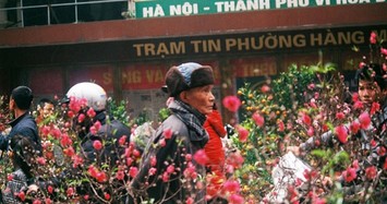 Danh sách 5 chợ hoa Tết nổi tiếng ở Hà Nội