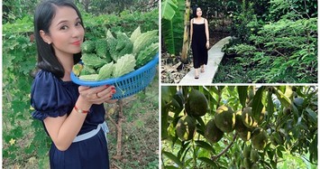 Việt Trinh sở hữu biệt thự vườn ngập hoa trái 