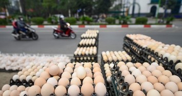 Sự thật vụ trứng gà giải cứu siêu rẻ đầy vỉa hè