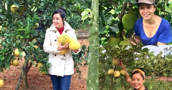 Vườn cây hàng nghìn mét vuông đầy trái của nghệ sĩ Chiều Xuân