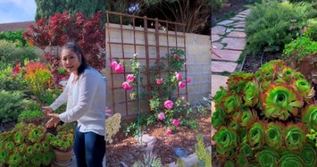 Cận cảnh khu vườn ngập hoa trong biệt thự của Hồng Đào