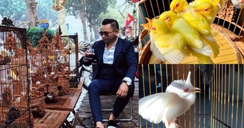 Đại gia Việt không tiếc tiền cho thú chơi chim cảnh 