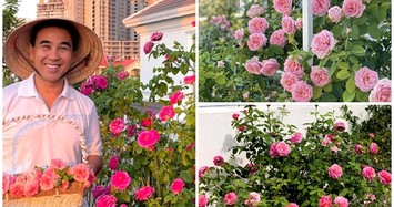 Vườn hồng rực rỡ trong biệt thự của MC Quyền Linh 