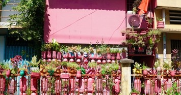 Căn nhà phủ màu hồng gây chú ý ở TP HCM 