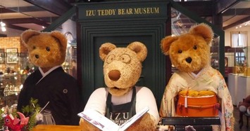 Vì sao Teddy Bear Museum hấp dẫn toàn thế giới?