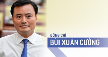 Con đường tiến thân của tân Phó Chủ tịch TP HCM Bùi Xuân Cường 