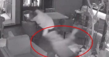 Người mẫu Tiểu Vi bị bạn trai đánh đập dã man ngay tại nhà hàng