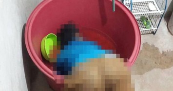 Cháu bé 2 tuổi ngã vào xô nước tử vong thương tâm 
