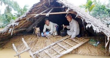 Mùa lụt bão: Người dân miền Trung tận dụng cái 'Tra' như thế nào?