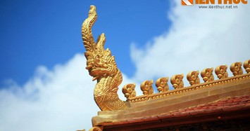 Hình tượng rắn thần Naga ở các ngôi chùa Khmer Nam Bộ 