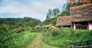 Ngôi làng đẹp như truyện cổ tích giữa núi rừng Đà Lạt