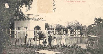 Vườn Bách Thảo Hà Nội trong loạt bưu thiếp đầu thế kỷ 20