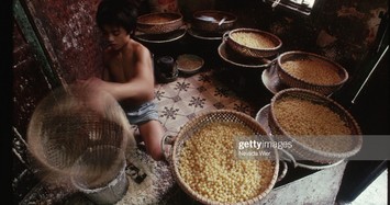 Mùa xuân Việt Nam thập niên 1990 qua ống kính người Mỹ