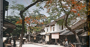 Phố Hà Nội năm 1915 rợp bóng cây xanh qua ảnh màu cực quý 