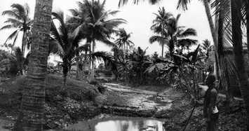 Ngắm làng Dừa ở tỉnh Hà Đông thập niên 1920 cực bình yên