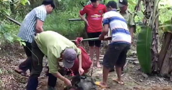 Nhóm “lâm tặc” xẻ thịt bò tót, dùng bình xịt hơi cay tấn công kiểm lâm ở tỉnh Đồng Nai 