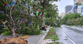 Cận cảnh TP Đà Nẵng khi siêu bão Noru quét qua