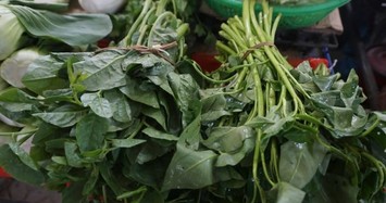Giá rau xanh ở TP Đà Nẵng tăng chóng mặt sau trận mưa lịch sử 