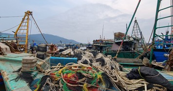 Cảnh hoạt động của cảng cá lớn nhất miền Trung