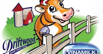 Vinamilk toan tính gì khi tăng gấp đôi vốn đầu tư tại Driftwood Dairy lên 20 triệu USD?
