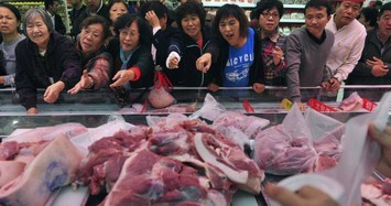 Thiếu thịt lợn trầm trọng, Trung Quốc nuôi heo siêu to khổng lồ 700kg