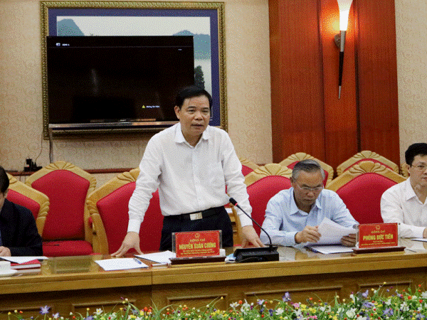 Bộ trưởng Nguyễn Xuân Cường: 17 tập đoàn, doanh nghiệp lớn phải đưa giá heo xuống mức hợp lý