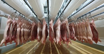 Giá heo hơi hôm nay 23/3: Hàng nghìn tấn thịt lợn nhập bán ở đâu?