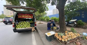 Hoa quả siêu rẻ tràn vỉa hè Hà Nội