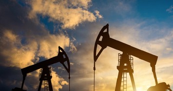 Doanh nghiệp dầu khí niêm yết đều có lãi năm 2020