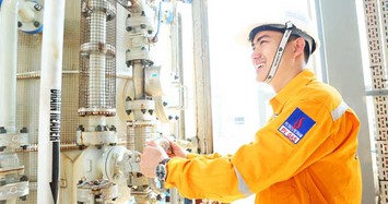 PGD lên kế hoạch lãi nhích nhẹ lên 204,5 tỷ, Tokyo Gas sẽ tăng sở hữu lên 25%