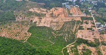 Công an Phú Quốc đề nghị truy tố 4 bị can phá rừng