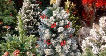 Cận kề Giáng sinh, giá cây thông Noel 'mỗi nơi một kiểu'