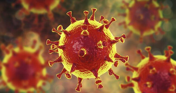 Nhà virus học Mỹ nói về biến thể Delta khủng khiếp như nào