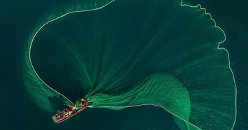 Video: Ngư dân tung lưới đánh cá đầy ấn tượng ở biển Bình Định