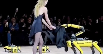 Robot bất ngờ lột đồ người mẫu trên sàn diễn 