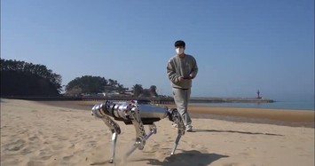 Xem robot bốn chân di chuyển trên mọi địa hình