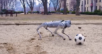 Robot chó có thể chơi bóng đá như Messi 