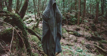 Những câu chuyện về 'khu rừng bị nguyền rủa' ở Nhật Bản