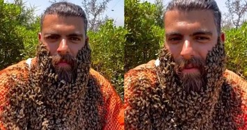 Xem bầy ong đậu kín trên râu của người đàn ông như phim kinh dị