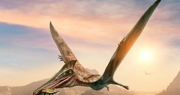 Phát hiện 'quái vật' đầu chim, đuôi khủng long chấn động cả giới khảo cổ