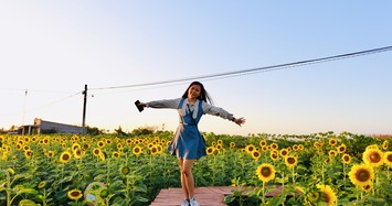 Cánh đồng hoa hướng dương ở Đồng Nai thu hút du khách ngày đầu năm mới