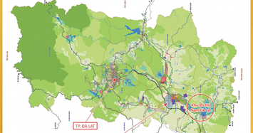  Siêu dự án 25.000 tỷ của Sài Gòn - Đại Ninh: 257 ha rừng đã 'bốc hơi' 