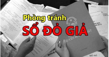 Sổ đỏ giả tràn lan, chính quyền Đà Nẵng ra cảnh báo đến người dân