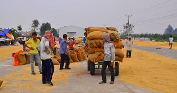 Hải quan mở tờ khai xuất khẩu gạo lúc 0h: Doanh nghiệp đề nghị kiểm tra